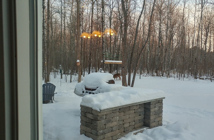 20171224_155726_HDR