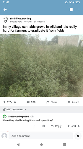 Screenshot_20200724-110133_Reddit