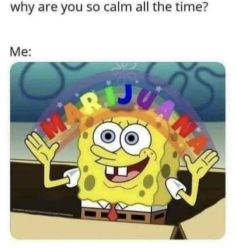 BikiniBottomTwitter-kz9b2c