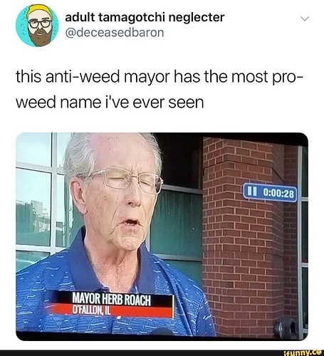 jpg