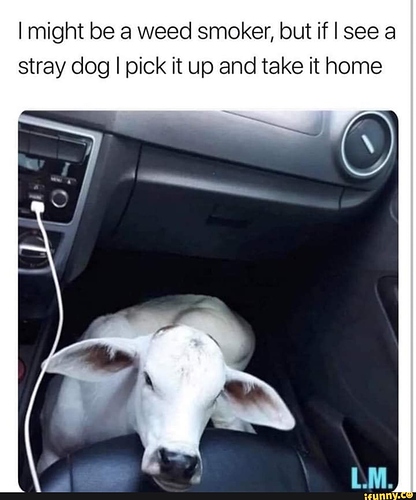 jpg