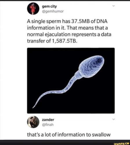 jpg