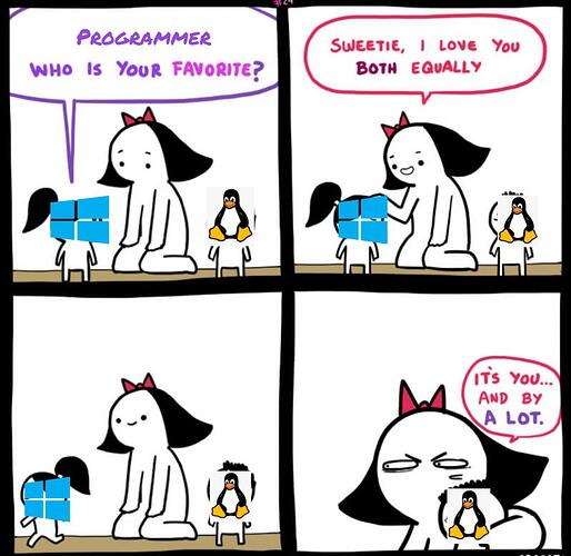 ProgrammerHumor-ofqxb0