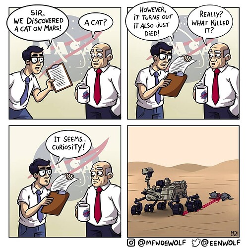 funny-mlzk8c