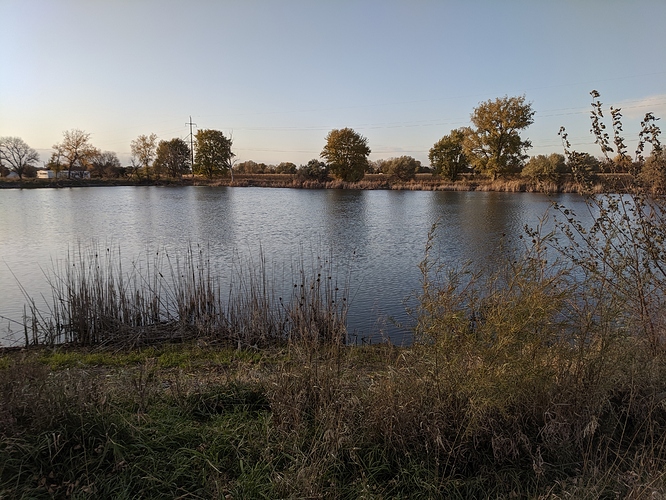 IMG_20191020_181159