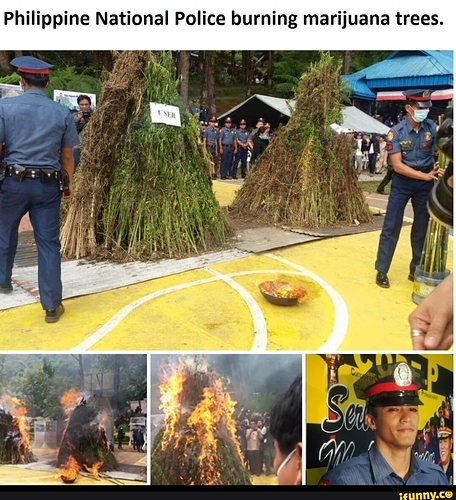 jpg