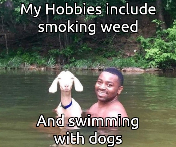 smokingweedandswimmingwithdogs